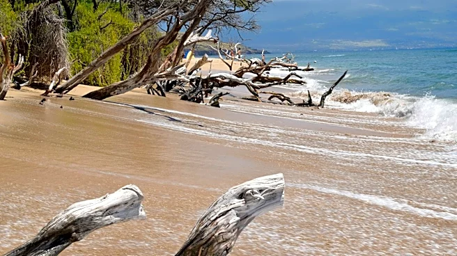 Storms Intensify Coastal Erosion Crisis in Maui Beaches