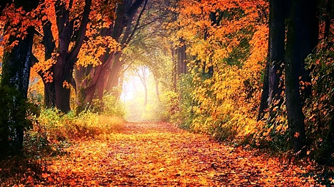 East Turns Chilly While the West Keeps Sweltering