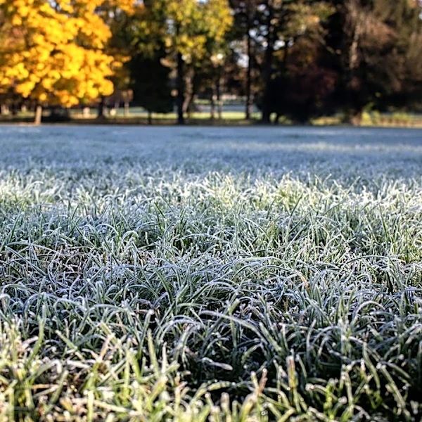 East Coast Sees First Fall Frost and Rain