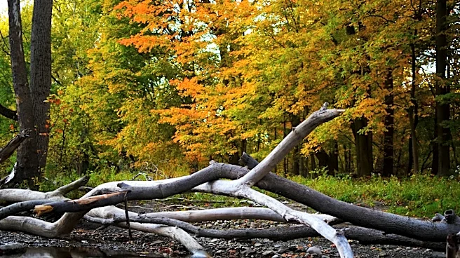 Chilly Nights and Mild Days Ahead for Mid-Ohio Valley
