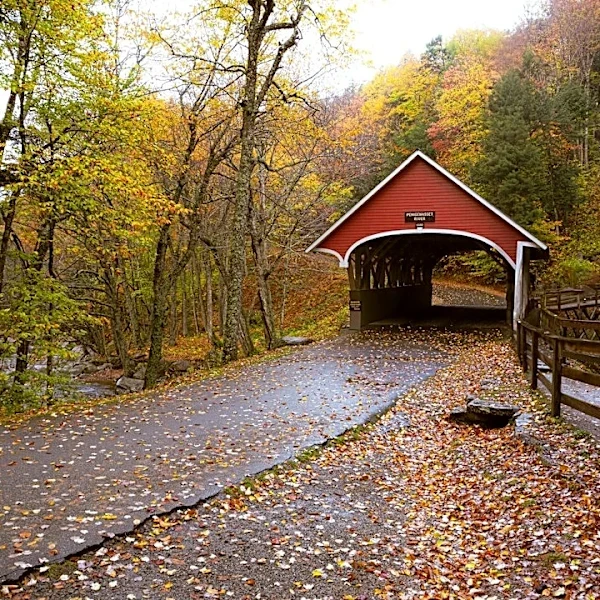 Peak Foliage and High Winds in Northern New England