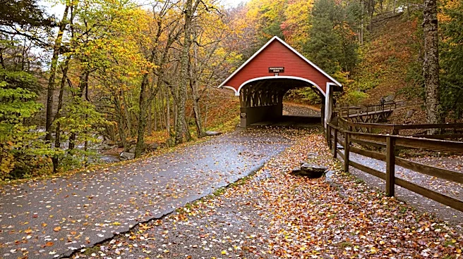 Peak Foliage and High Winds in Northern New England