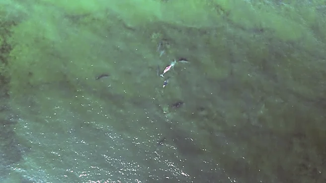 Hurricane Rachel Brings Swells to Baja California