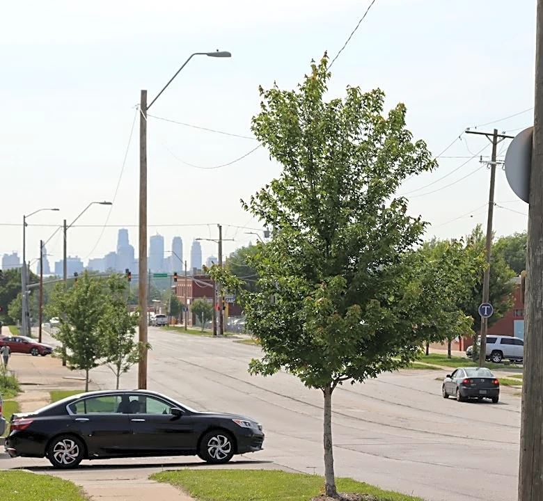Severe Storms Cause Major Damage in Kansas City, KS