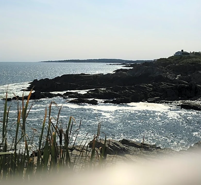 Frost Advisory Issued for Coastal Maine Tonight