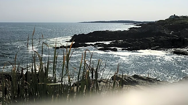 Frost Advisory Issued for Coastal Maine Tonight