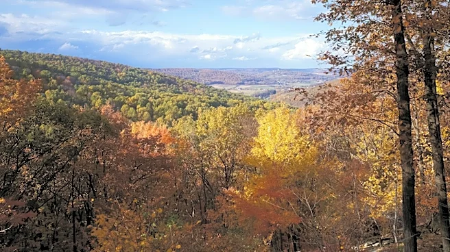 Sunny Fall Weather Graces Maryland This Week