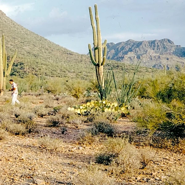 Southwest Heat Wave Intensifies, Record Highs Expected