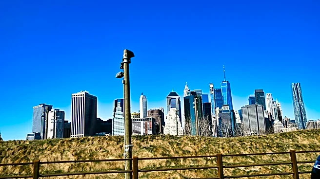 Brooklyn Sees Sunny Skies Before Tropical Storm Isaias