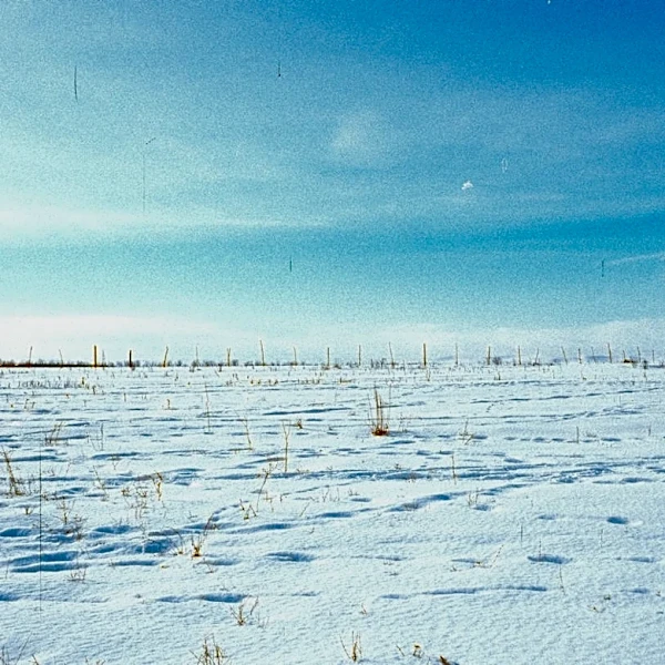 Understanding Wind Chill and Its Effects