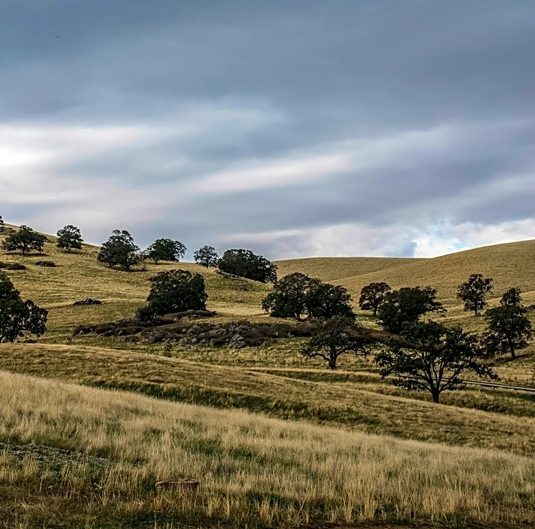 USDA Declares Drought Emergency in California Counties