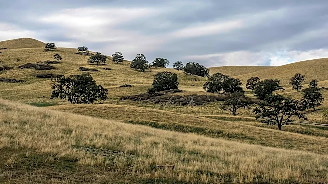 USDA Declares Drought Emergency in California Counties