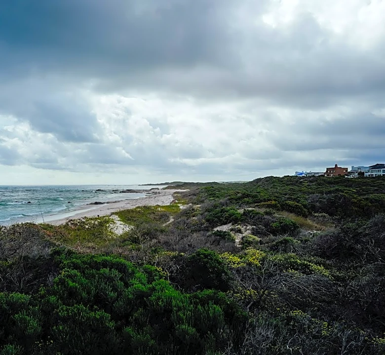 Flood Alerts Issued for U.S. Coastal Areas