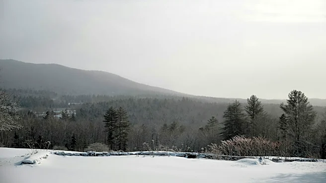 Colder, Snowier Winter Predicted for U.S. Amid Super El Niño