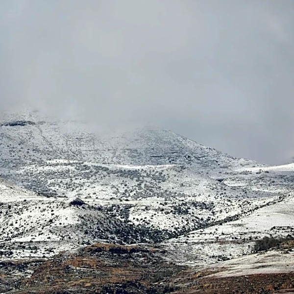 Cold Front Brings Frost and Mountain Snow to Washington