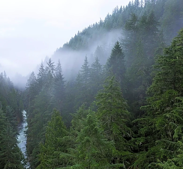 Why Fall Brings Cooler Weather and Rain to the Pacific Northwest