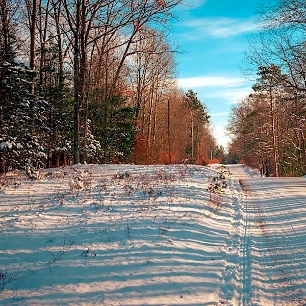 Prepare Your Pickup Truck for Winter Driving