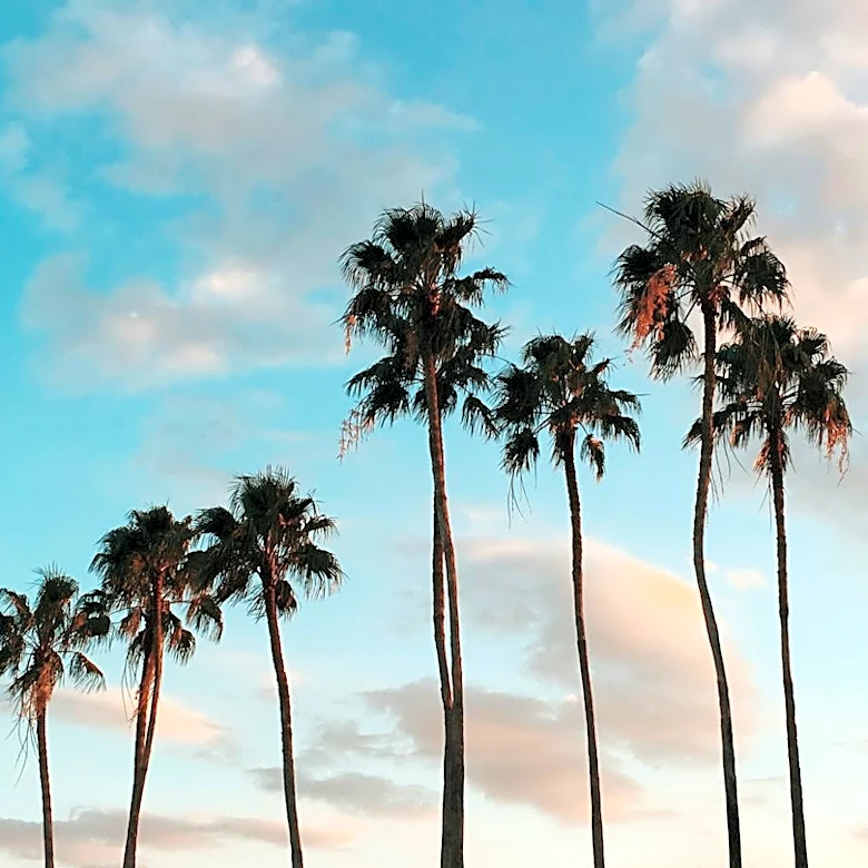 Heat Wave Eases in California, Storm Threatens Florida