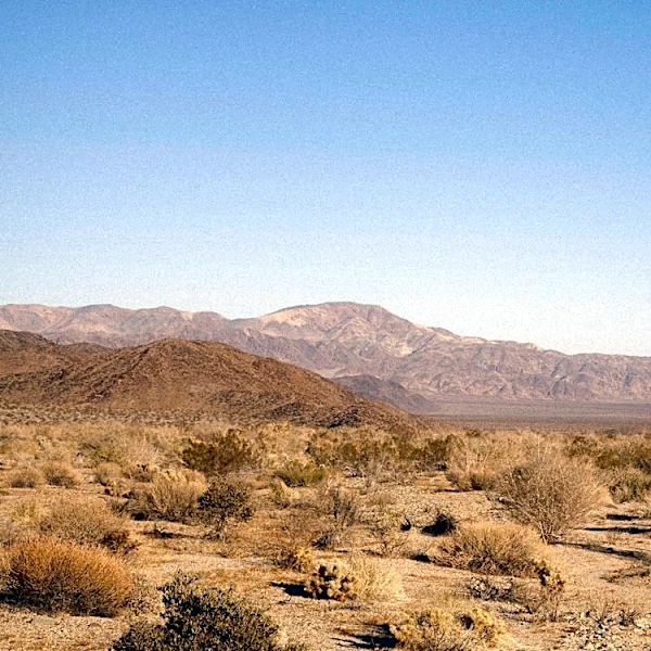 Extreme Heat Warning Issued for Coachella Valley