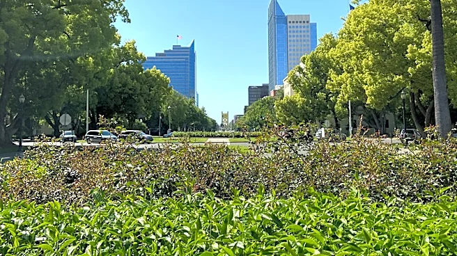 Northern California Heat to Ease After Thursday