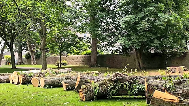 Severe Microburst Storms Cause Damage in Philadelphia