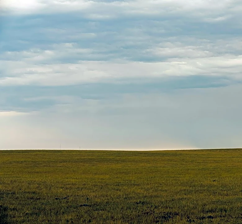 Recent Rainfall Boosts Fall Herbicide Effectiveness in SD