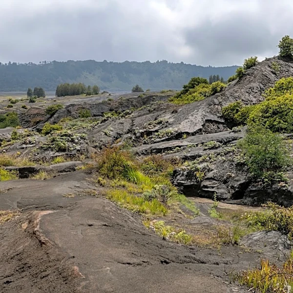 Trail Closures Announced at Kīlauea Summit Amid Increased Seismic Activity