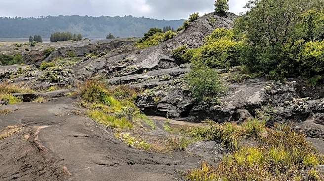 Trail Closures Announced at Kīlauea Summit Amid Increased Seismic Activity