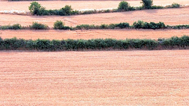 USDA Declares 15 Counties Disaster Areas Due to Drought