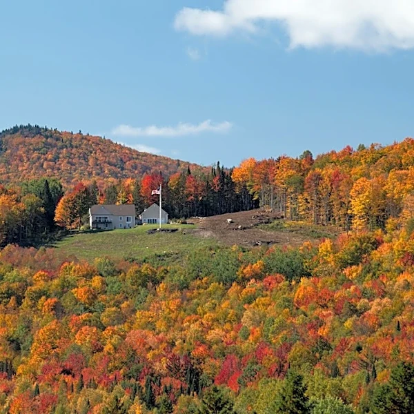 Vermont Fall Foliage Peaks Amid Weekend Rain