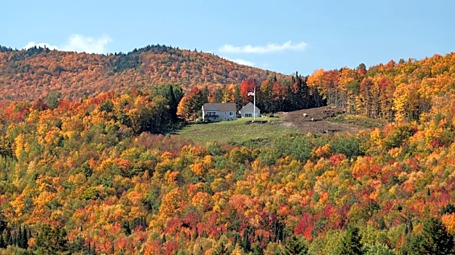 Vermont Fall Foliage Peaks Amid Weekend Rain