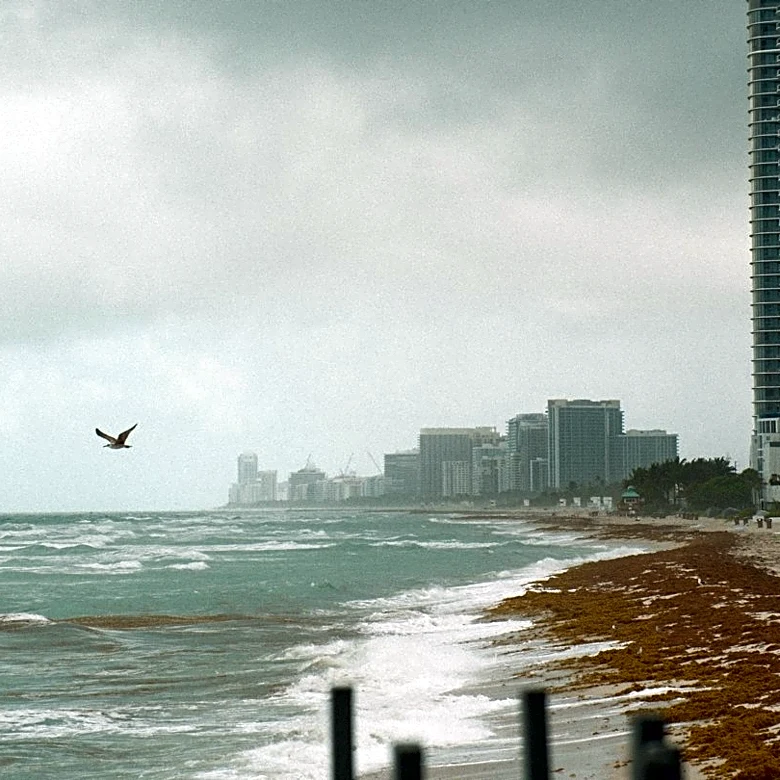 Small Craft Advisory Issued for Northeast Florida Waters