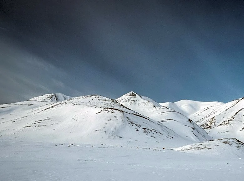 Winter Storm Watches and Advisories in Montana