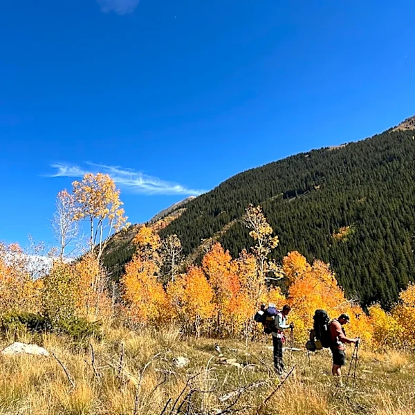 Fall Hiking Safety Tips Shared by Illinois Park Officials