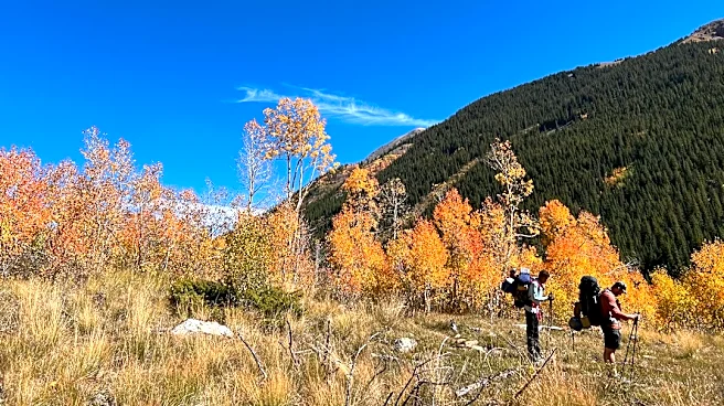 Fall Hiking Safety Tips Shared by Illinois Park Officials