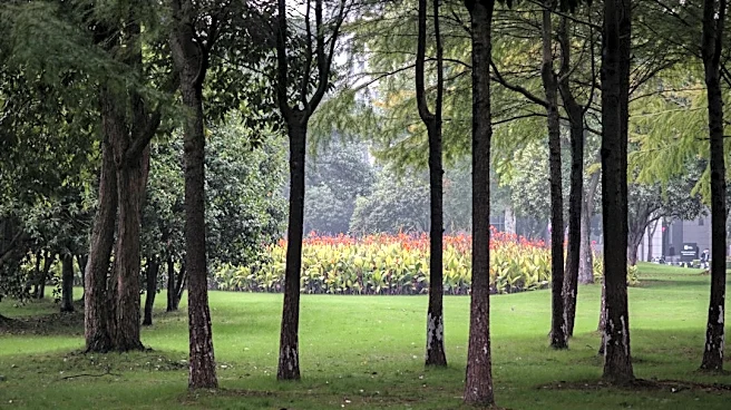 Essential Fall Lawn Care Tips for a Healthy Texas Yard