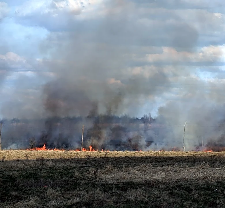 Tartar Fire Burns 158,000 Acres Near Weiser, Idaho