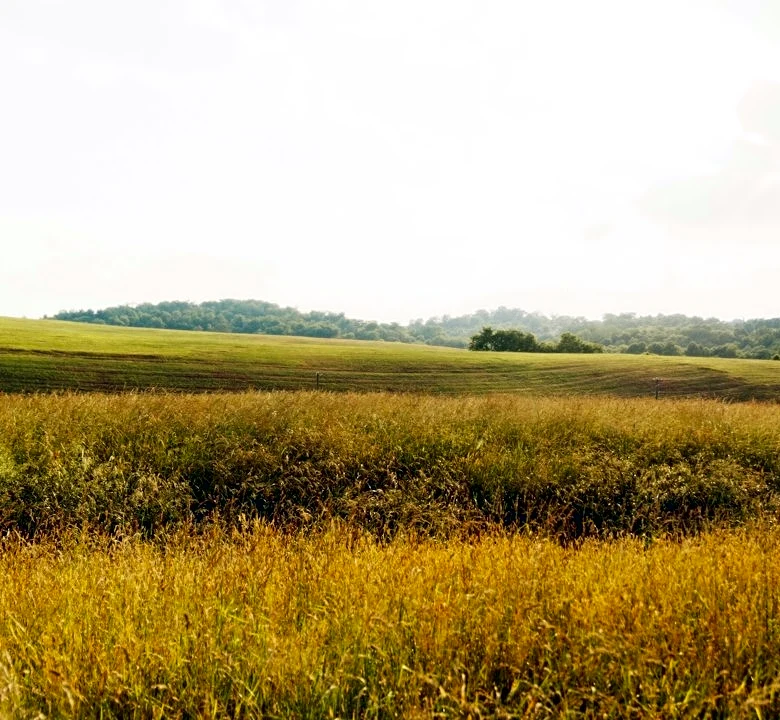 Exceptional Drought Persists in Pennsylvania