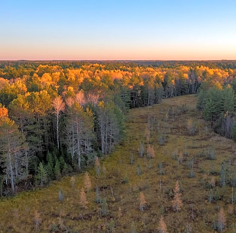 Northern Wisconsin Faces Exceptional Drought