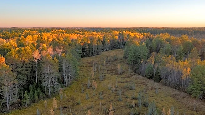 Northern Wisconsin Faces Exceptional Drought