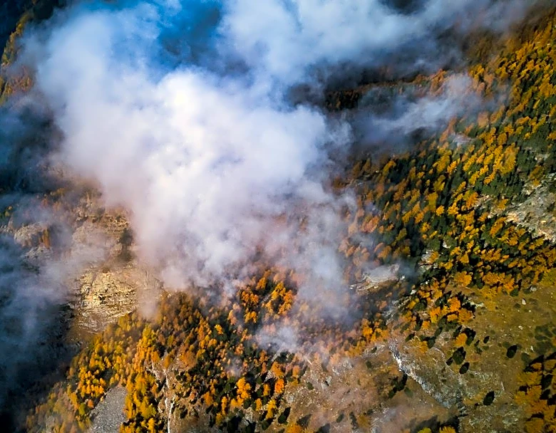Wildfires Fueled by Climate Change and Human Activity