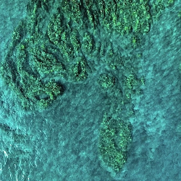 Record Pacific Heat Signals Powerful El Niño