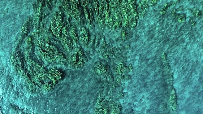 Record Pacific Heat Signals Powerful El Niño