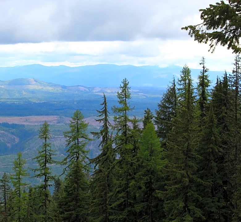 Idaho Forests Receive $12.4M for Wildfire Risk Reduction