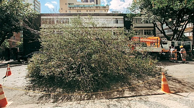 Volunteers Plant Trees to Combat Urban Heat in Iowa
