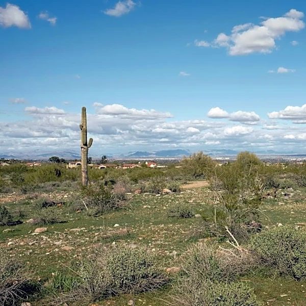 Phoenix Faces Highs of 39°C Amid Low Precipitation