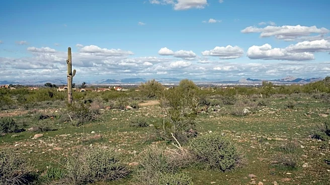 Phoenix Faces Highs of 39°C Amid Low Precipitation