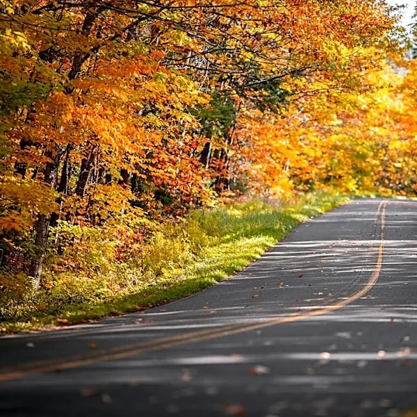 Michigan Fall Colors Near Peak in Upper Peninsula