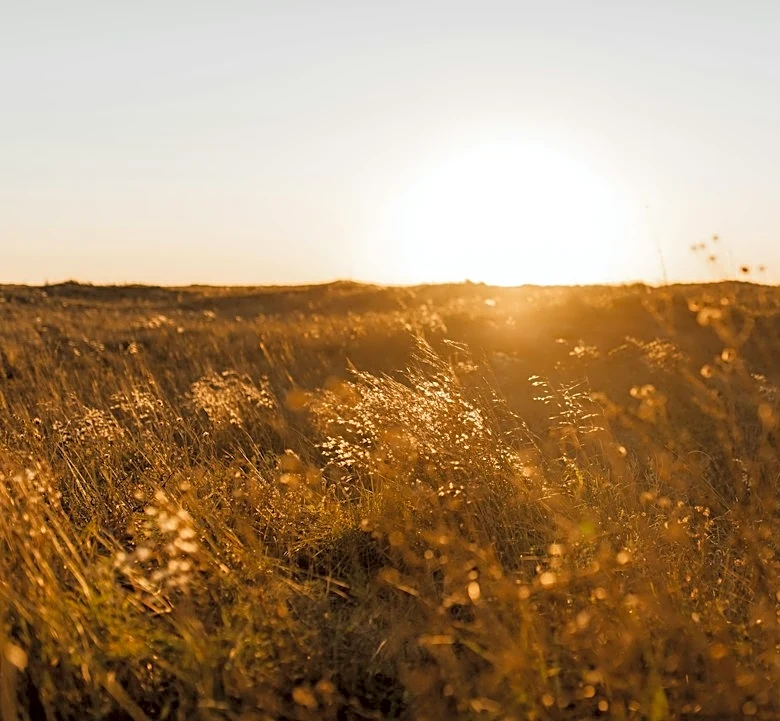 South Texas Heat Index to Reach 103°F This Week
