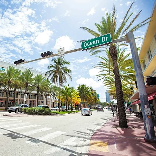 Miami Hits 91°F Amid Late-Summer Warmth